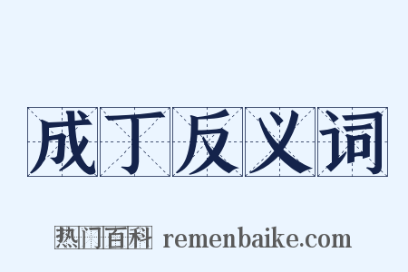 成丁反义词是什么意思的图片